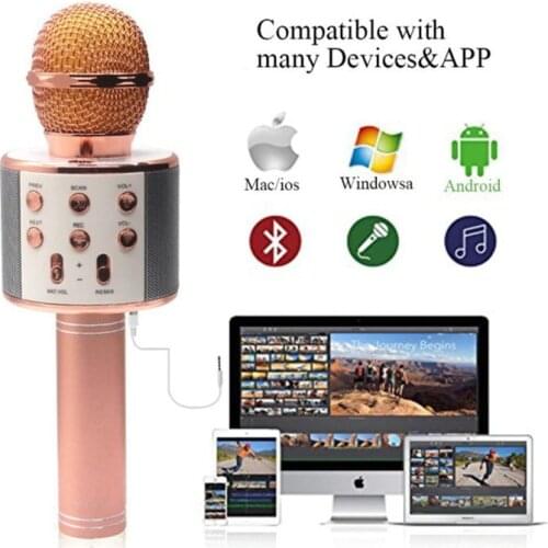 Disney Microphones