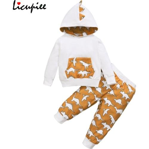 0-24 Months Hooded Babys Sets Fashion Baby Girls 2pcs Fall Outfits, Casual Long Sleeve Dinosaur Print Hoodie and Pants Set
