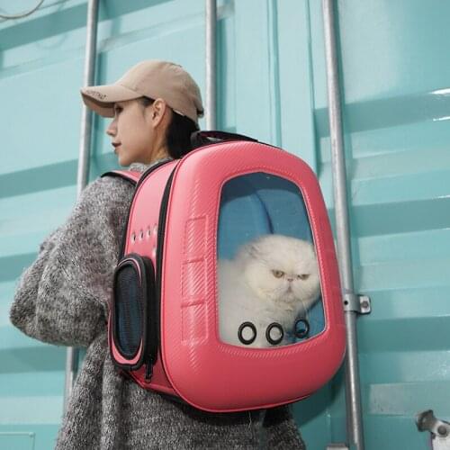 Folding Cat bag Pet Transportation Backpack For Cat EVA Transparent Large Space Ventilation Improve Air Circulation Dog Backpack