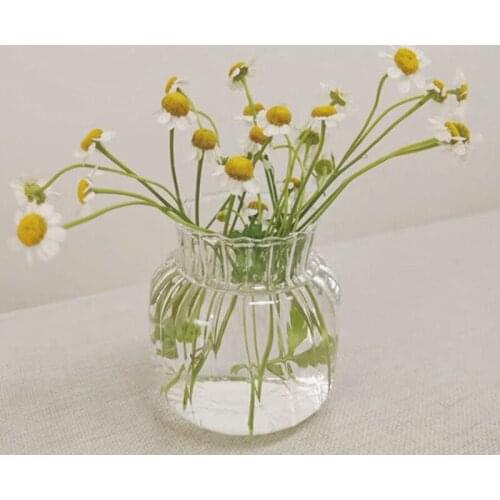 Flower Vase for Home Decor Glass Vase Flower Terrarium Glass Table Ornaments Small Plant Vase