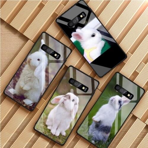Rat Tempered Glass Phone Case For Samsung Galaxy S8 S9 S10 S20 PLUS J8 J6 J4 2018 NOTE 8 9 10