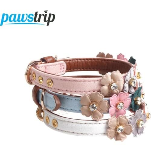 Pawstrip Collars, Harnesses And Leashes
