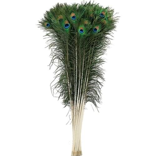 50Pcs/Lot Natural Real Peacock Feathers for Crafts 10-32" Long Peacock Feathers for Jewelry Making Party Decoration Plume Plumas