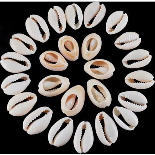 50pcs Natural sea shell cowry charm beads beach accessories for women sea shells jewelry craft decorations