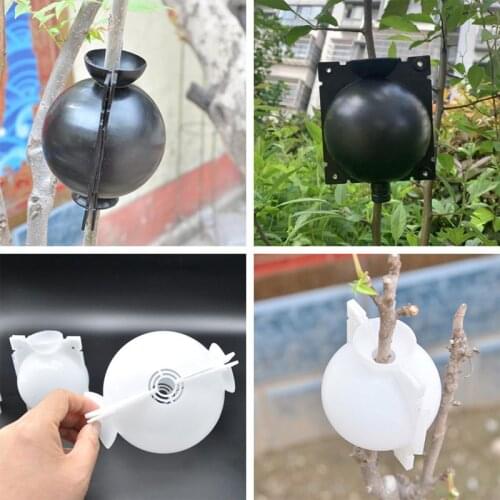 Adjustable Plant Rooting Ball Grafting Rooting Growing Box Breeding Case For Garden Supplies Gardening Hydroponics 3 Sizes