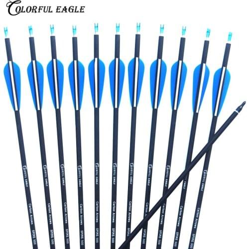 28"/30"/31" Archery Carbon Arrow Spine500 with Replaceable Arrowhead and Blue White Feather for Compound & Long Bow Hunting