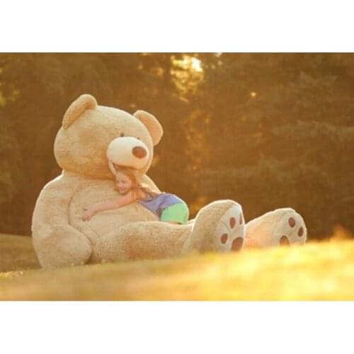 High quality goods large 200cm bear plush toy ,soft hugging pillow.birthday gift d1126