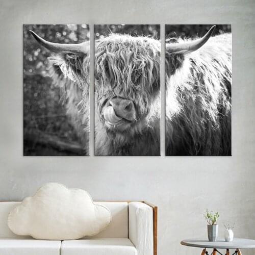 Highland Cow Tongue Nose Canvas Paintings Animals Wall Art Prints Room Decor Pictures and Posters for Bedroom Home Decoration