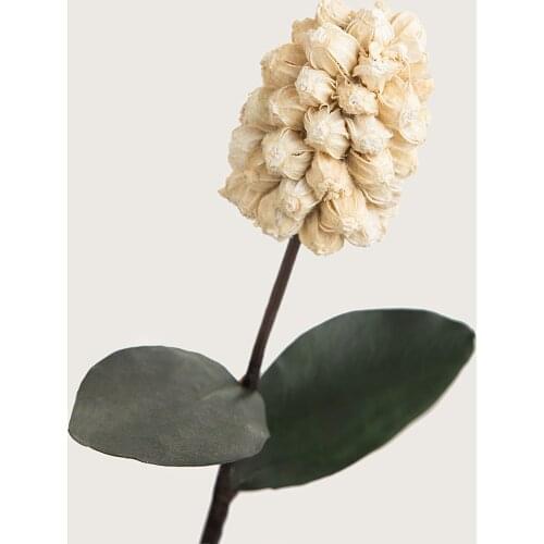 Nordic Style Vintage Artificial Flowers Home Decorative Fake Flowers 1Piece Beautiful Dried Hyacinth Display Flowers