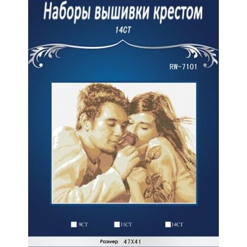 Lover Needlework DIY Cross Stitch Set Embroidery Kit Poppy Flowers Pattern Counted Cross-Stitching Wall Home Decro