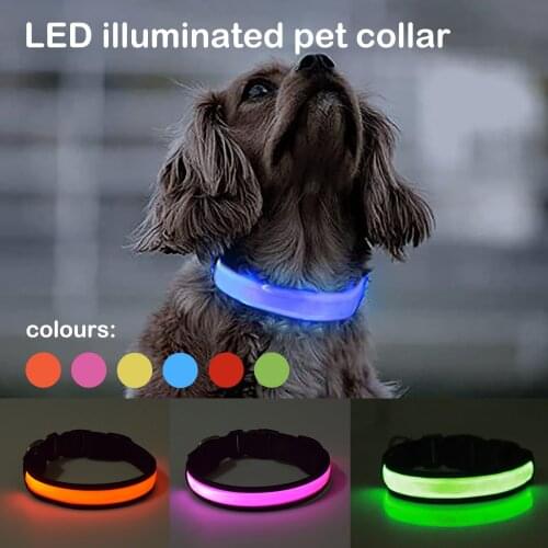 Pet Led Luminous Pet Collar Usb Reflective Pet Leash Anti-lost Night Safety Luminous Dog Cat Leash Adjustable Pet Supplies