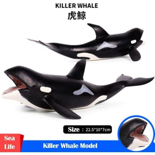 Sea Life Big Killer Whale Simulation Animals Collection Model Solid Plastic Hand Model Series Christmas Toys Gift For Children