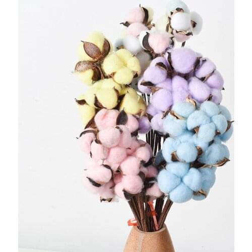 5Pcs Real Dried Flower Dry Pure Natural Cotton Artificial Plants Colorful for Home Decor Floral Branch Craft DIY Candle