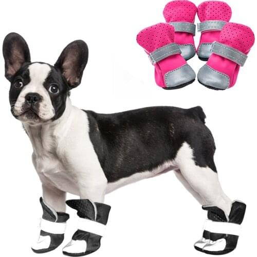 NIMBLE Shoes For Dogs