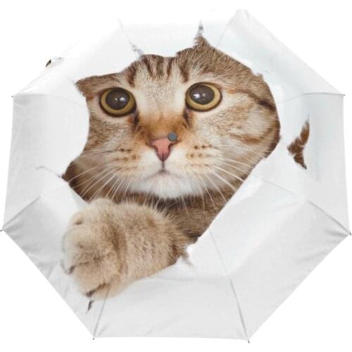 Cute Cartoon Cat Umbrella Rain Women Folding Umbrellas Automatic Female Sun Umbrella Parasol Lovely Paraguas White Sombrinha