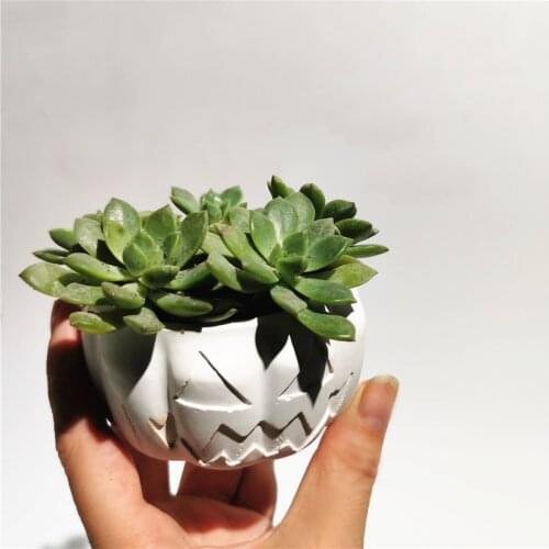 Halloween Cement Flower Pot Mold Pumpkin Shape Silicone Molds for Planter Pot Plaster Clay Mould