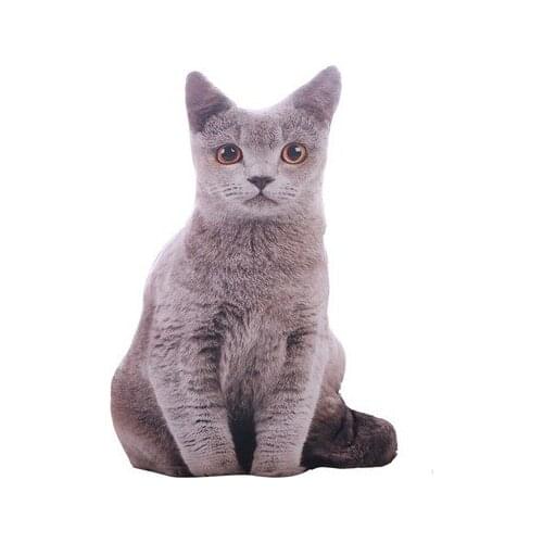 Free shipping new arrival 50cm super soft cat plush pilow doll for children gift