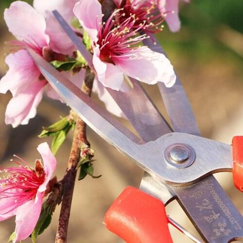 Double-edged Fruit Picking Scissors Bonsai Flower Cultivating Solid Snip Pruner Citrus Fruit Tree Flower Scissors Garden Shears