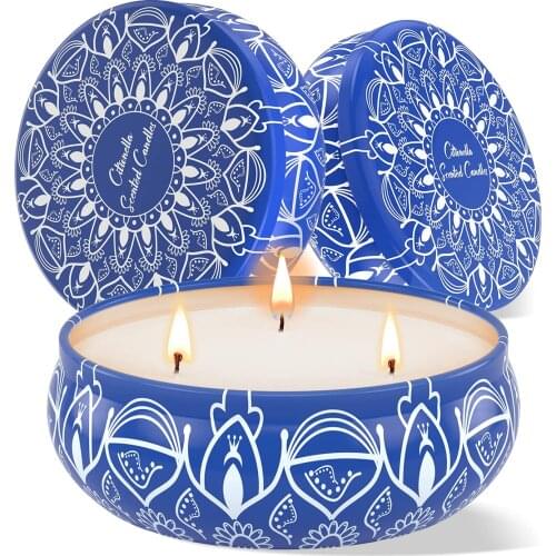 Citronella Candles Outdoor and Indoor, Scented Candles Gift Set, 3-Wick Natural Soy Wax Candles, Large Citronella Scented Candle