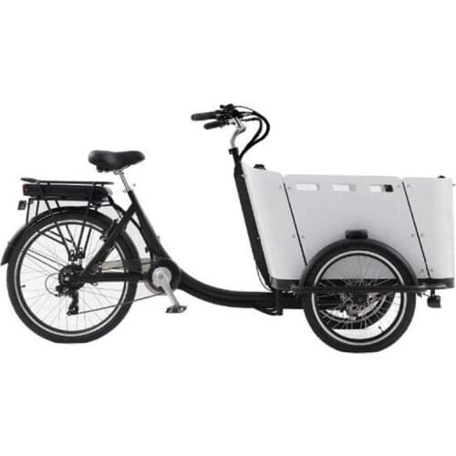 Chinese three wheel e bakfiets tricycle electric cargo bike frame in Bicycle with rain cover for sale