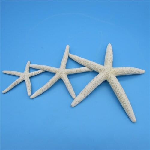 Happy Kiss 3pcs starfish Finger Sea Star Sea Fish Beach Coastal Ornaments For Home Party Wedding Decoration Craft Gift 6-13cm