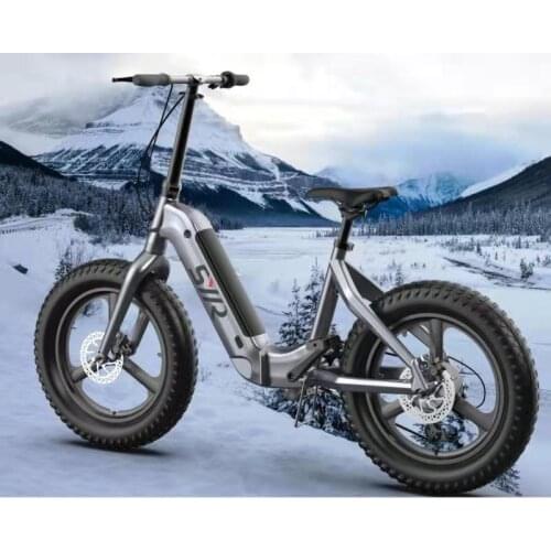 Kunlink Folding Electric Bikes