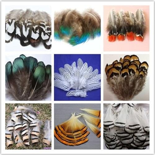 Wholesale 50 PCS beautiful pheasant tail & peacock feathers 4-10cm/2-4inches