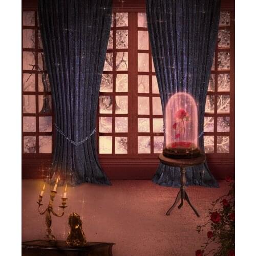 Sleeping Beauty Beast Inspired photo backdrop polyester or Vinyl cloth High quality Computer print children kids background