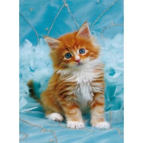 5D diy diamond paintings full drills mosaic cat embroidery pattern 3d cross stitch kits room decoration wall stickers