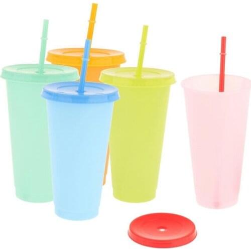 5PCS Color Changing Cup Reusable Tumbler With Lid And Straw Cold Cup 700Ml