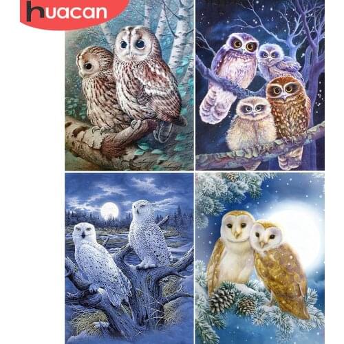 HUACAN 5D Diamond Painting Owl Full Drill Square Diamond Embroidery Animal Picture Art Kits Home Decoration