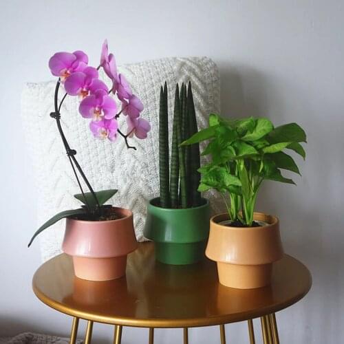 Round Mini Ceramic Flower Container Balcony Green Plant Family Garden Succulent Flower Pot Creative Irregular Home Decoration