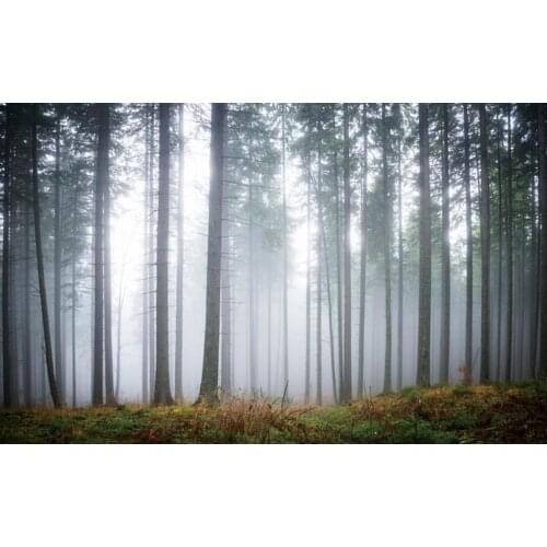 3d wallpaper for room forest photo wall murals wallpaper living 3d wallpaper mural painting photos