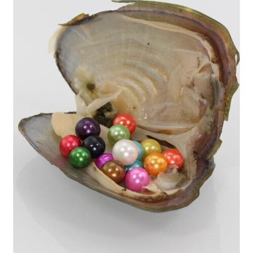 Free Shipping DIY Freshwater Pearls In Oysters 28 Colors 7-8mm Round Pearls Vacuum-Packing Luxury Jewelry Birthday Gift FR026