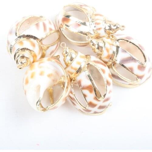 Gold plating Aquarium Beach Nautical DIY Shells Colorful Natural Seashells Decorations Scallop Shells Crafts Decor Ornament 5Pcs