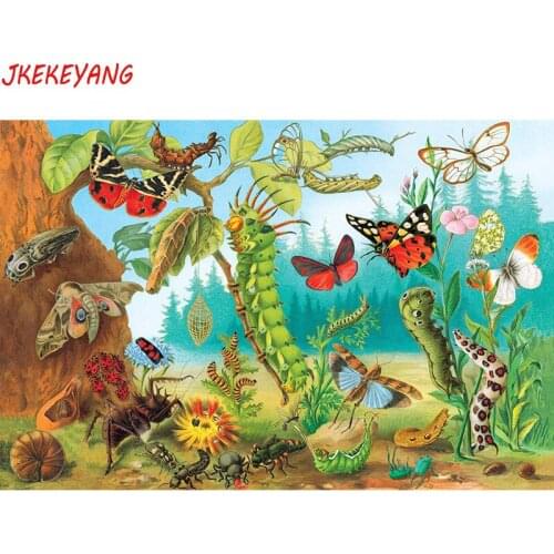 5D DIY square/round Diamond painting insect Cross Stitch Diamond Embroidery Pattern Rhinestone J1603