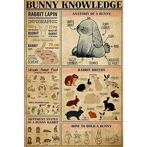 Rabbit Bunny Knowledge Metal Sign Garage Street Cafe Bar Club Kitchen Wall Decoration Retro Metal Tin SignBest Gift for Family