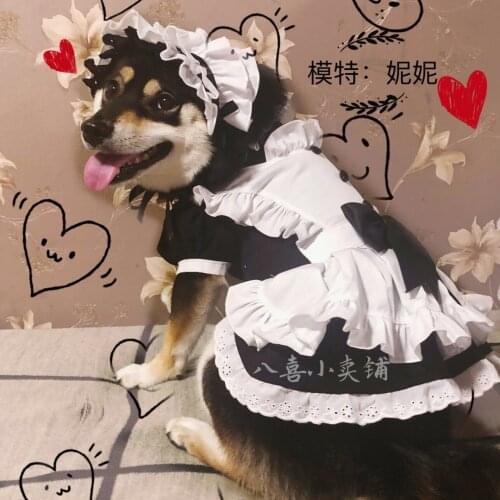 Pet maid outfit big dog cat clothes medium big dog role playing suit Samoyed border collie Labrador dog clothes dog accessories