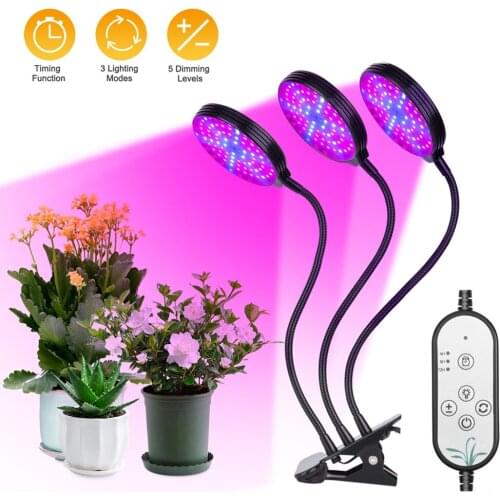 XunShiNi Plant Lamps