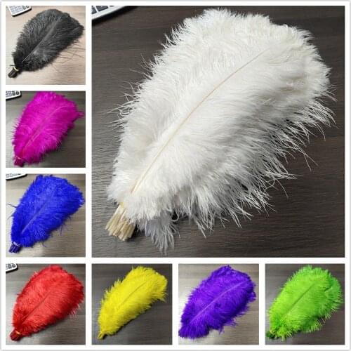 Wholesale 50pcs Gorgeous 11Color 22-24inches/55-60cm Natural ostrich feathers DIY jewelry Christmas Halloween Decoration