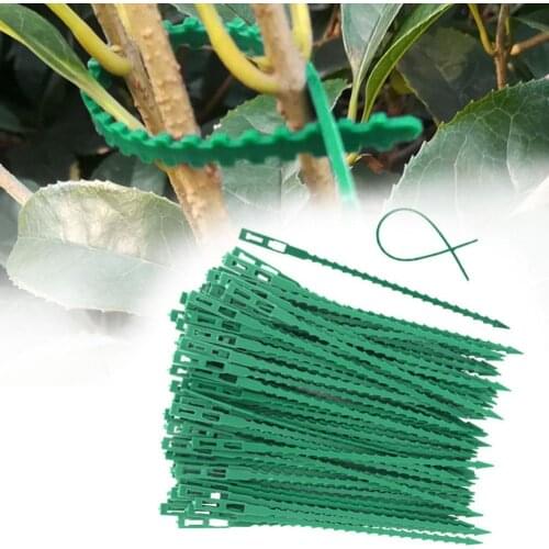 50pcs/lot 13.5CM* 17CM Plastic Plant Cable Ties Reusable Cable Ties Greenhouse Grow Kits for Garden Tree Climbing Support