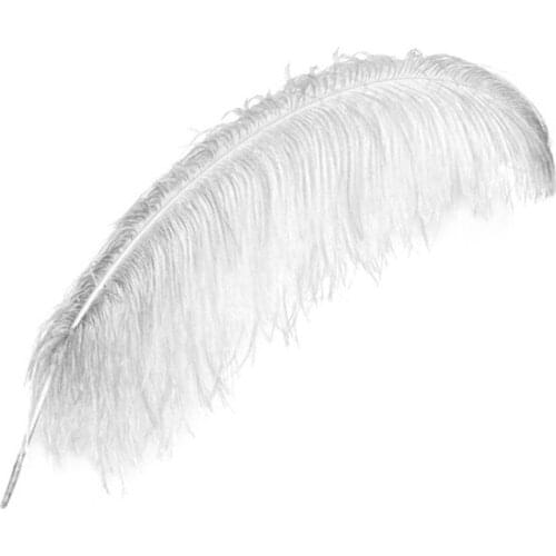 30-35cm ostrich feather multicolor feather stage decoration feather performance decoration props ostrich T5W6