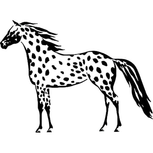 Animal Horse Fashion Decals High Quality Car Window Decoration Personality Pvc Waterproof Decals Black/white, 20cm*15cm