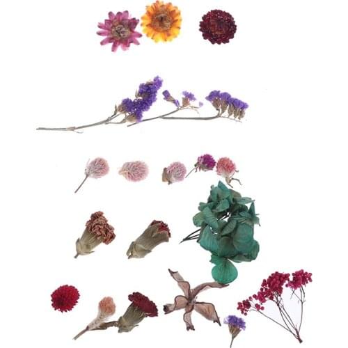 1Box Real Dried Flower Plant For Aromatherapy Candle Epoxy Resin Pendant Necklace Jewelry Making Craft DIY Accessories