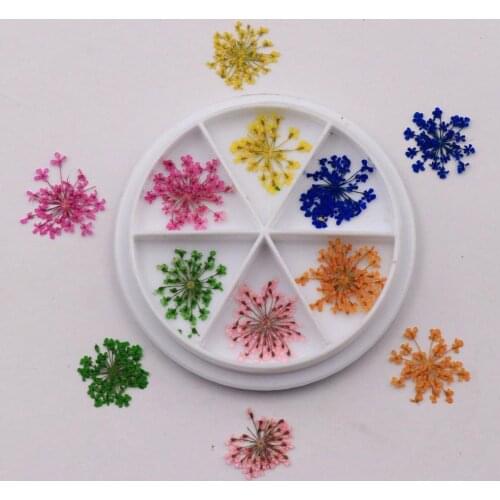 12Pcs/Set Mix Dried Flowers Natural Floral Sticker Nail Flower Decoration 3D Dried Flower Nail Decoration Natural Floral Sticker