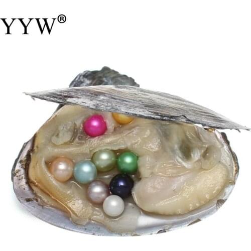 AAA Genuine Freshwater Oyster Pearls Charm Dyed Beads for Jewelry Making Akoya Oysters Pearls Single Skittle Wedding Gift