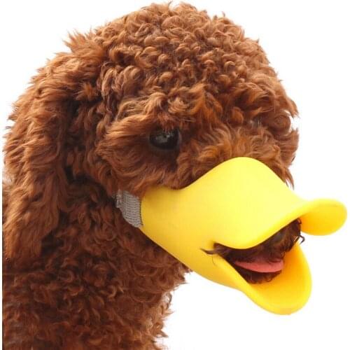 DINGEMANS Dog Accessories