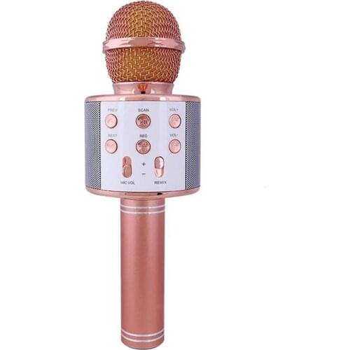 2020 Wireless Microphone Professional Condenser Karaoke Mic Stand Radio Mikrofon Studio Recording Studio Mic Machine