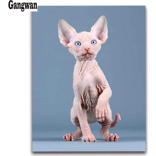 DIY 5D Diamond Painting sphynx cat painting Embroidery Decoration Full Square/Round Rhinestone Mosaic cute kitten hobby decor