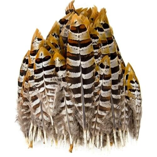 50/100 Pcs Wholesale Natural High quality Chicken feathers for Crafts Jewelry Making diy Plumes Decoration Macrame Creations